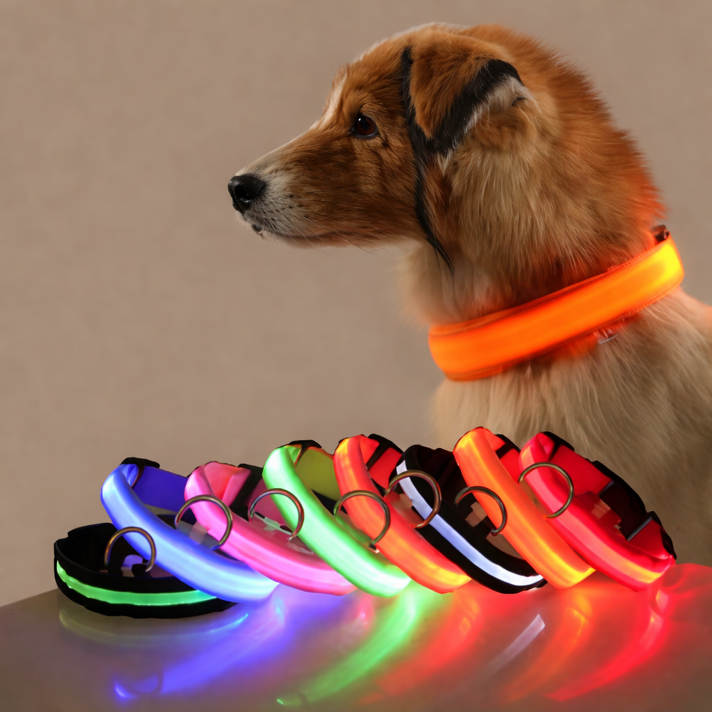 LED Night Safety Dog Leash – Luminous Glow Collar for Dogs
