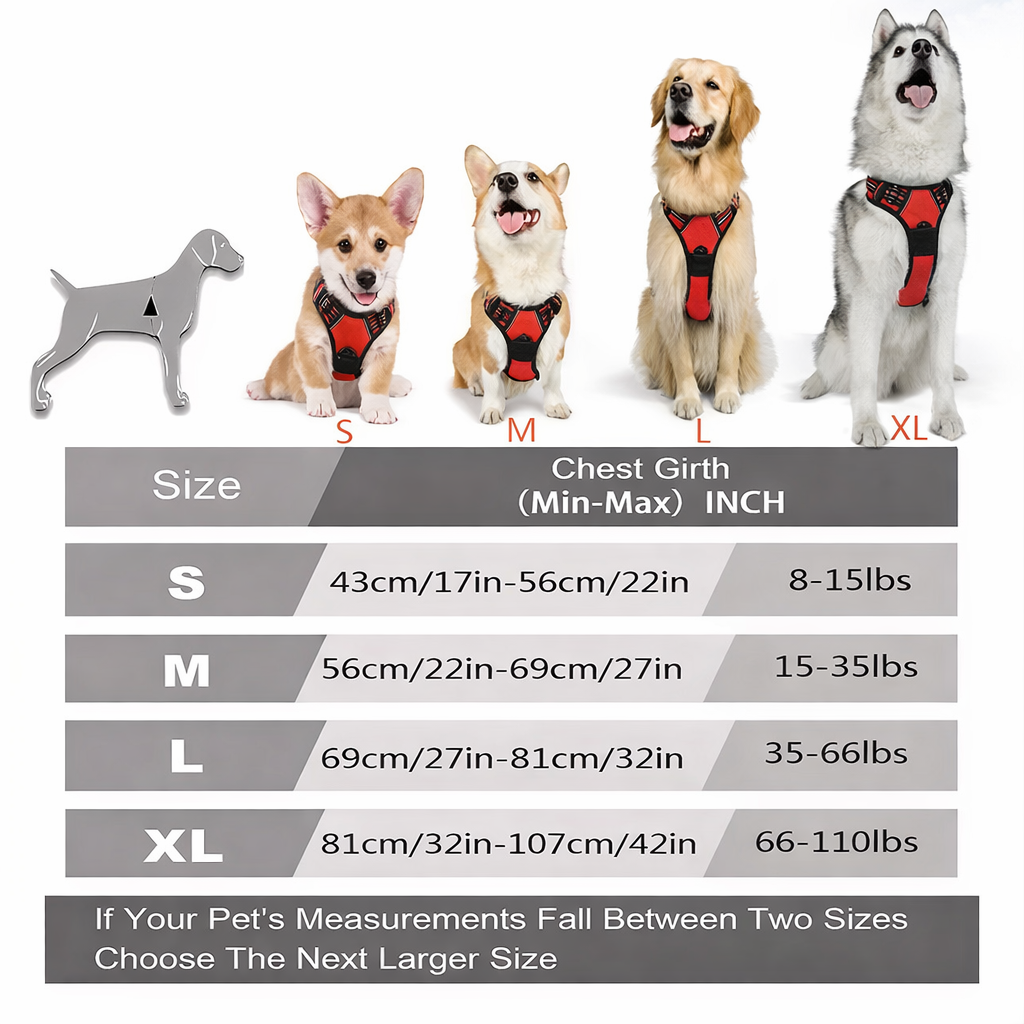 Adjustable Harness & Collar Set – Soft Comfort Vest for Dogs