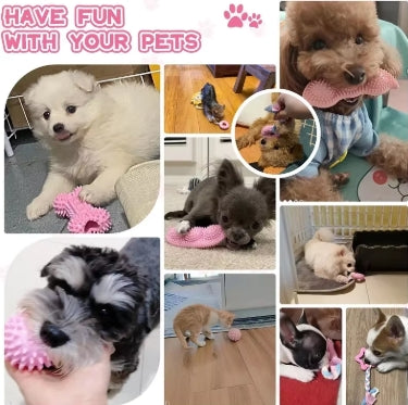 Dog Teeth Cleaning Chew Toy Set