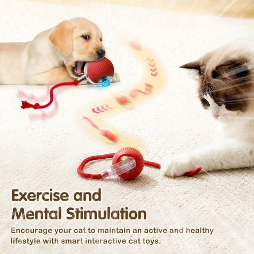 Rechargeable Smart Cat Ball – Interactive Moving Tail Toy