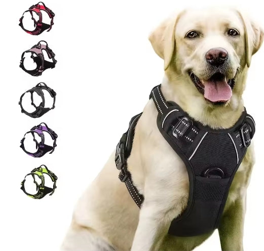 Adjustable Harness & Collar Set – Soft Comfort Vest for Dogs