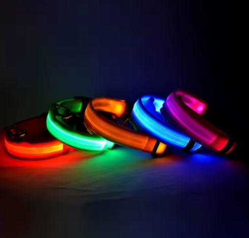 LED Night Safety Dog Leash – Luminous Glow Collar for Dogs