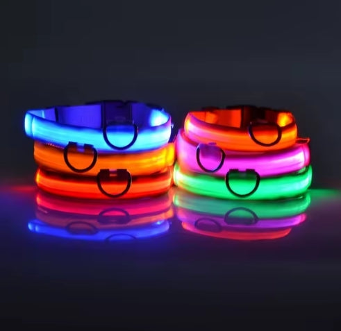 LED Night Safety Dog Leash – Luminous Glow Collar for Dogs