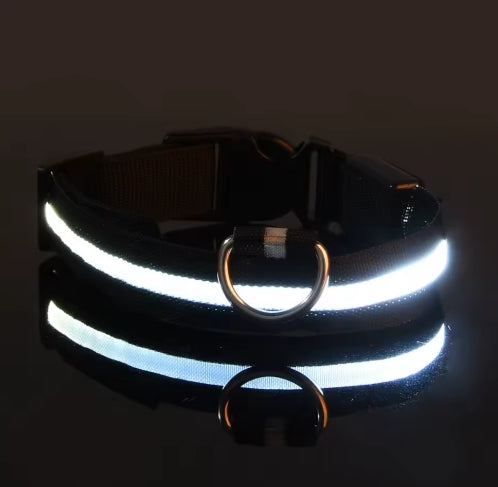 LED Night Safety Dog Leash – Luminous Glow Collar for Dogs