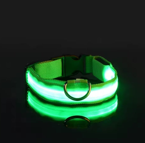LED Night Safety Dog Leash – Luminous Glow Collar for Dogs
