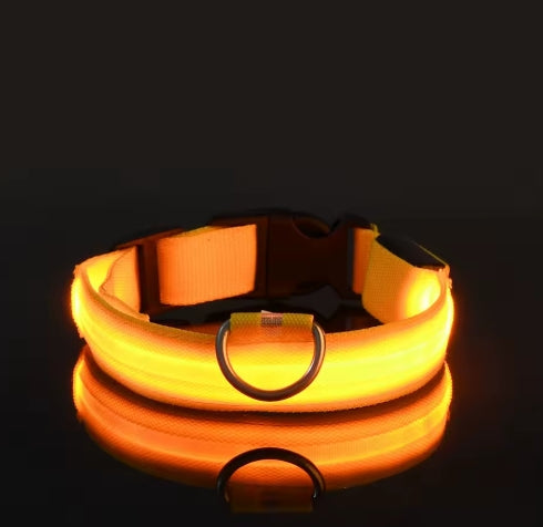 LED Night Safety Dog Leash – Luminous Glow Collar for Dogs