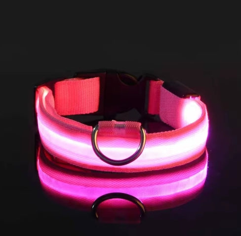 LED Night Safety Dog Leash – Luminous Glow Collar for Dogs