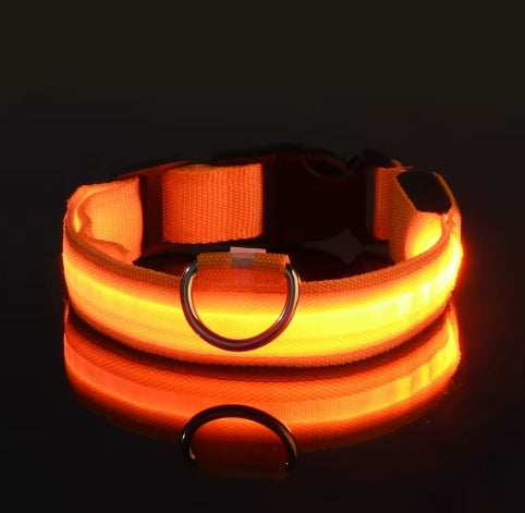 LED Night Safety Dog Leash – Luminous Glow Collar for Dogs