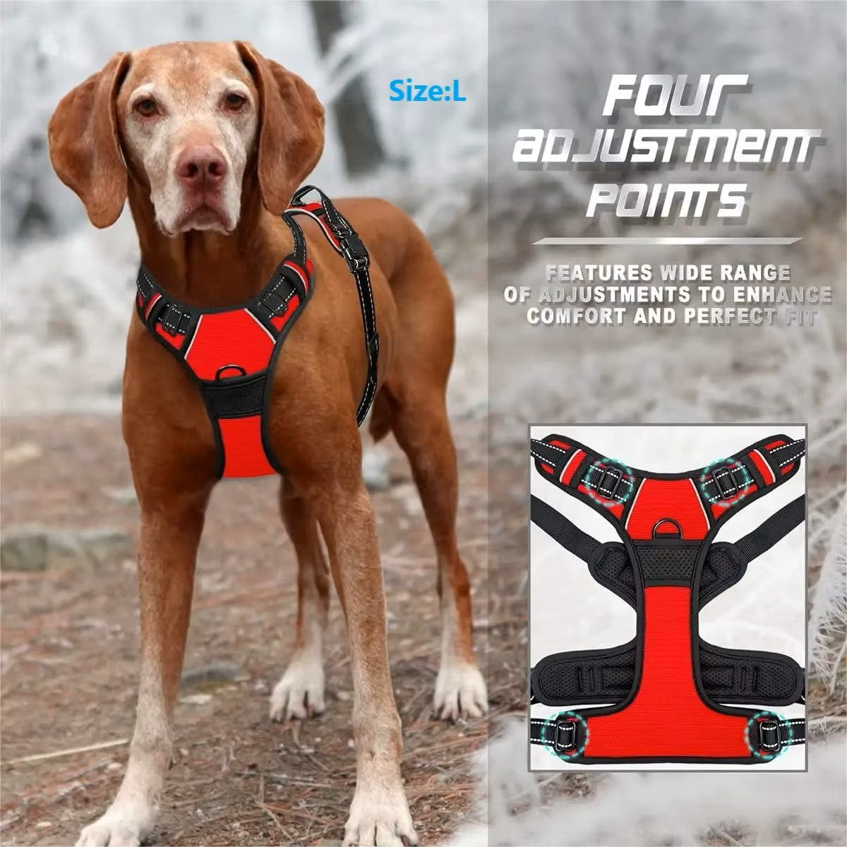 Adjustable Harness & Collar Set – Soft Comfort Vest for Dogs