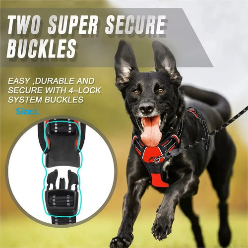 Adjustable Harness & Collar Set – Soft Comfort Vest for Dogs